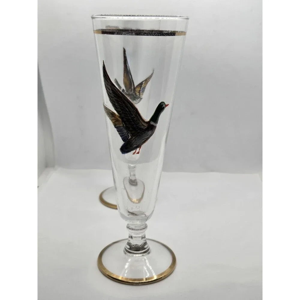 Set of 5 Vintage Wildlife Fowl Birds Pilsner Beer Glasses